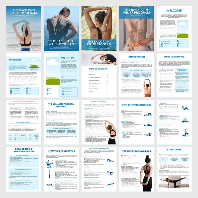 Back Pain Relief Program | Editable Canva Template | Health & Fitness Coaching | Instant Download, DFY PLR image 2