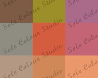 Seasonal Palette & makeup -Tinted Autumn-