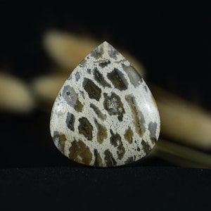 Indonesische cabochon met versteende palmwortel | Druppelvormige edelsteen van fossiel hout met luipaardpatroon | Unieke steen voor hanger/ring