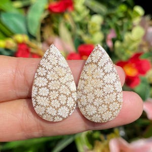 Op de afbeelding: Twee druppelvormige cabochons met een bruine basis en een wit bloemmotief. De cabochons worden in een hand gehouden, met een vage achtergrond van groene en rode bloemen.