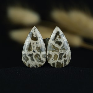 Paire de cabochons de racines de palmier | Pierre en forme de larme organique unique de Sumatra | Idéal pour une boucle d'oreille, un pendentif ou un cadre artistique