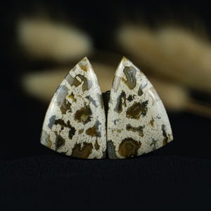 Indonésienne Paire de racines de palmier pétrifiées Cabine | Bois fossile élégant avec motif terreux | Pierre préférée des créateurs de bijoux