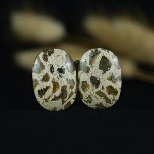 Paire de cabochons en bois pétrifié | Racine de palmier d'Indonésie avec texture fossile naturelle | Une pierre accrocheuse pour la conception de bijoux