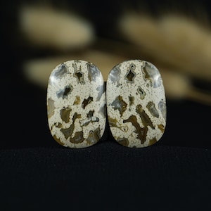 Sumatrapalmwortelcabochon | Kussengeslepen edelsteen van fossiel hout met opvallende patronen | Ideaal voor gepersonaliseerde sieraden