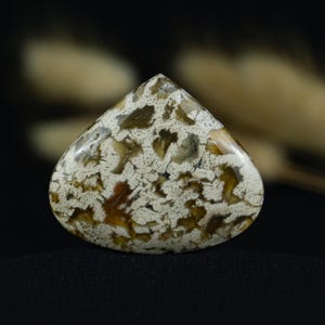 Versteende palmwortel edelsteen | Exotisch fossiel hout met wild patroon | Ideaal voor erfstuksieraden