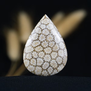 Cabochon de corail fossile naturel - Pierre de corail agatisée pour enrouler du fil, bague ou collier - Pierre en forme de larme