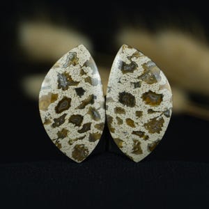 Palmoxylon Fossil Cabochon | Versteinertes Holz mit natürlichem Punktmuster | Einzigartige Stein für Ohrring oder Anhänger