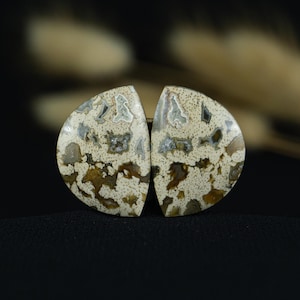 Cabochon paar van fossiel hout met luipaardpatroon | Indonesische edelsteen palmwortelschild | Prachtig voor draadwikkelsieraden