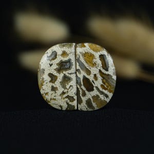 Halbrundes Fossil Palmenpaar Cabochon | Erdfarbener Versteinerter Wurzelstein mit Wildem Muster | Für individuelle Schmuckkreationen