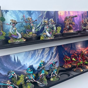 May include: A collection of painted miniature figures displayed on shelves with scenic backdrops. The figures are arranged in rows and include a variety of characters, creatures, and vehicles. The figures are painted in vibrant colours and intricate details.