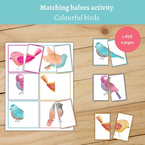 Puzzle d'oiseaux colorés Montessori. Activité de correspondance des moitiés pour les tout-petits. Printemps préscolaire imprimable.