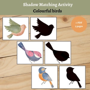 Cartes assorties d'ombre d'oiseaux colorés. Activité préscolaire d'été Montessori. Cartes nature imprimables pour tout-petits à l'aquarelle.