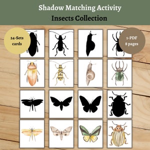 Può includere: Attività di abbinamento delle ombre per bambini con 24 set di carte di insetti. Le carte includono silhouette di insetti come farfalle, scarabei e falene, e le loro corrispondenti illustrazioni a colori. L'attività è progettata per aiutare i bambini a conoscere diversi tipi di insetti e migliorare le loro capacità di riconoscimento visivo.