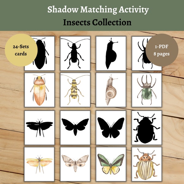 Insects Collection shadow matching cards. Montessori Insects preschool activity. Watercolor toddler printable cards.