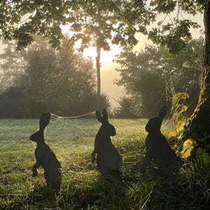 Add a unique touch to your garden with our handmade wrought iron hares: choose between Fleur, Florence and Lottie!