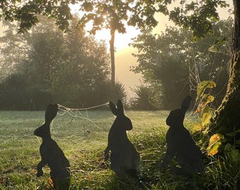 Add a unique touch to your garden with our handmade wrought iron hares: choose between Fleur, Florence and Lottie!