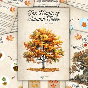 The Magic of Autumn Trees Unit Study - Nature Study for Kids, Forest Education, Homeschool Printable