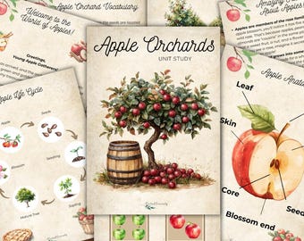 May include: Educational printables about apples. The central image is a watercolor illustration of an apple tree with red apples and a wooden barrel. Other pages show the apple life cycle, apple anatomy, and vocabulary.