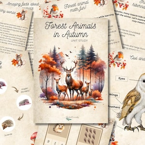 May include: A collection of educational printables with a forest animal theme. The central image is a watercolor illustration of deer in an autumn forest. Additional pages feature vocabulary, animal facts, and owl anatomy.