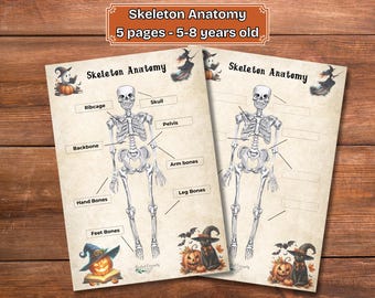 Skeleton Halloween Bone Anatomy Activity - Etsy