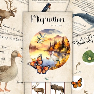 May include: Educational printables on migration, featuring a watercolor illustration of a lake scene with butterflies, birds, and a goose. Includes diagrams of a goose and a monarch butterfly life cycle, plus images of a reindeer and a whale.