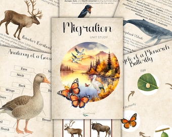 Zugvogel-Studium: Tiermedizin, Geographie (Druckdatei)