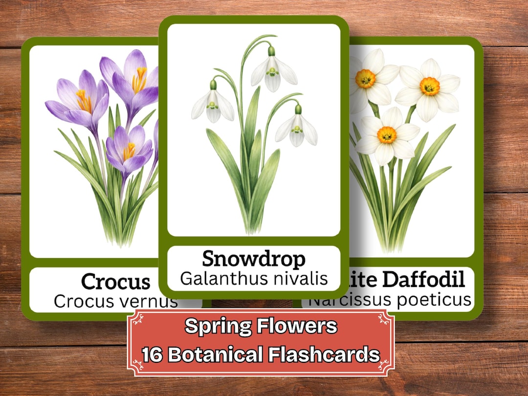 Spring Flowers Printable Cards for Kids | Botanical Flashcards With ...