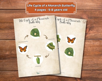 Monarch Butterfly Life Cycle Printable: Kids' Science Activity (PDF)