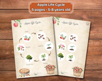 Life Cycle of an Apple Tree Foldable Activity for Kids Printable | A4 ...