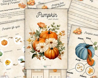 Estudio de la calabaza: estudio de la naturaleza para niños, temporada de otoño, imprimible para educación en casa