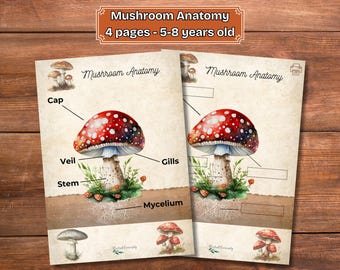 Mushroom Anatomy Printable for Kids: Homeschool Science Activity (PDF)