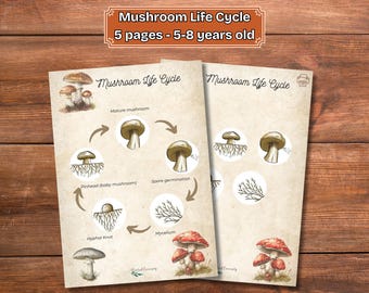 Mushroom Life Cycle Printable: Forest Science Activity for Kids (PDF)