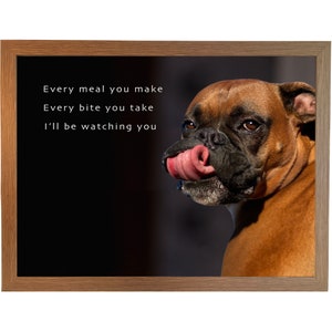 Funny boxer dog pictures with sayings 2025