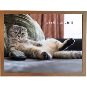 Cat LAP TRAY, Plain OR Own Quote Or Netflix and Chill beanbag tray with cushion for Eating, Funny Animal Cushioned laptop tray