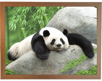 Plain OR Own Quote Giant Panda Lap Tray, Personalised. Funny Animal Cushioned Lap Desk