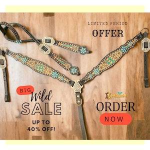Western Horse Headstall Breast Collar Set: Leather Tack, Turquoise Stone Conchos
