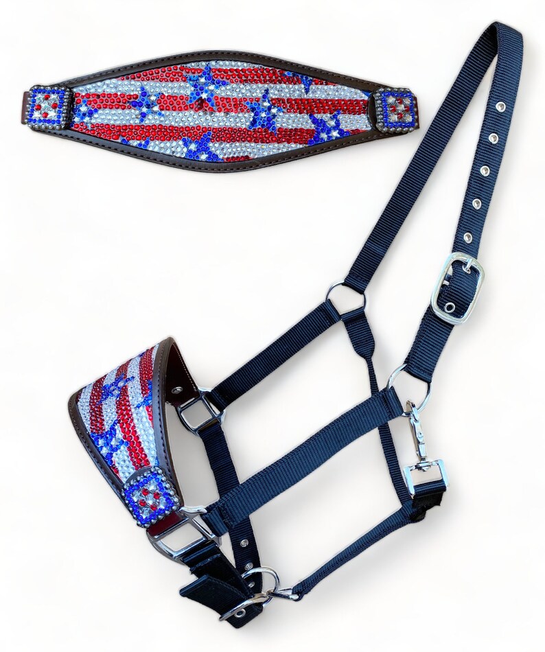 Licou Bronc MOUSM – Cuir Vache Argentin Véritable – Turquoise Réfléchissant – Neuf