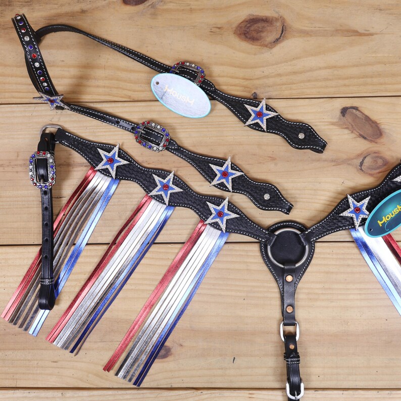 Hand Tooled Leather Headstall Breast Collar Tack Set: Red White Stone ...