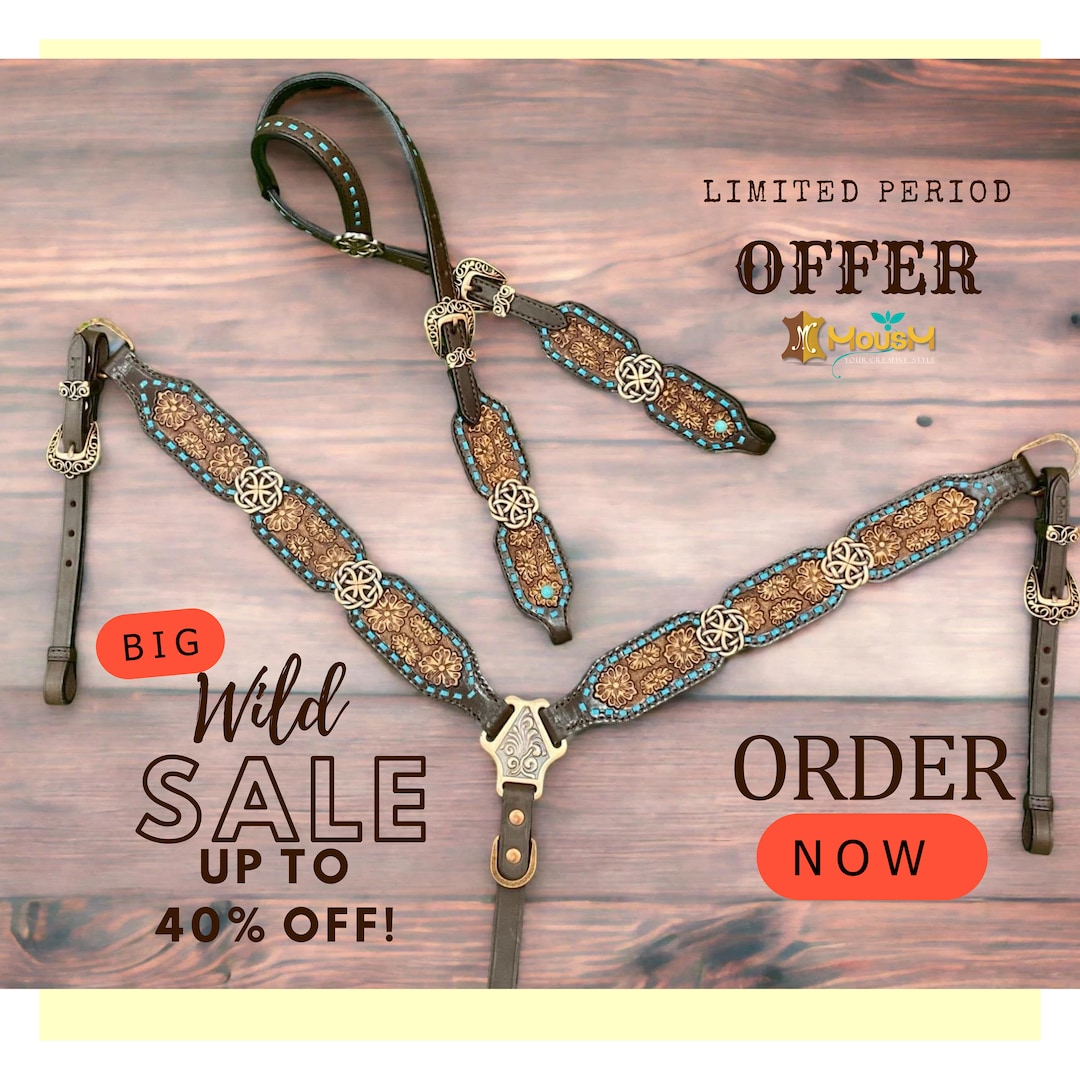 Western Horse Bridle Headstall and Breast Collar Set Leather Headstall