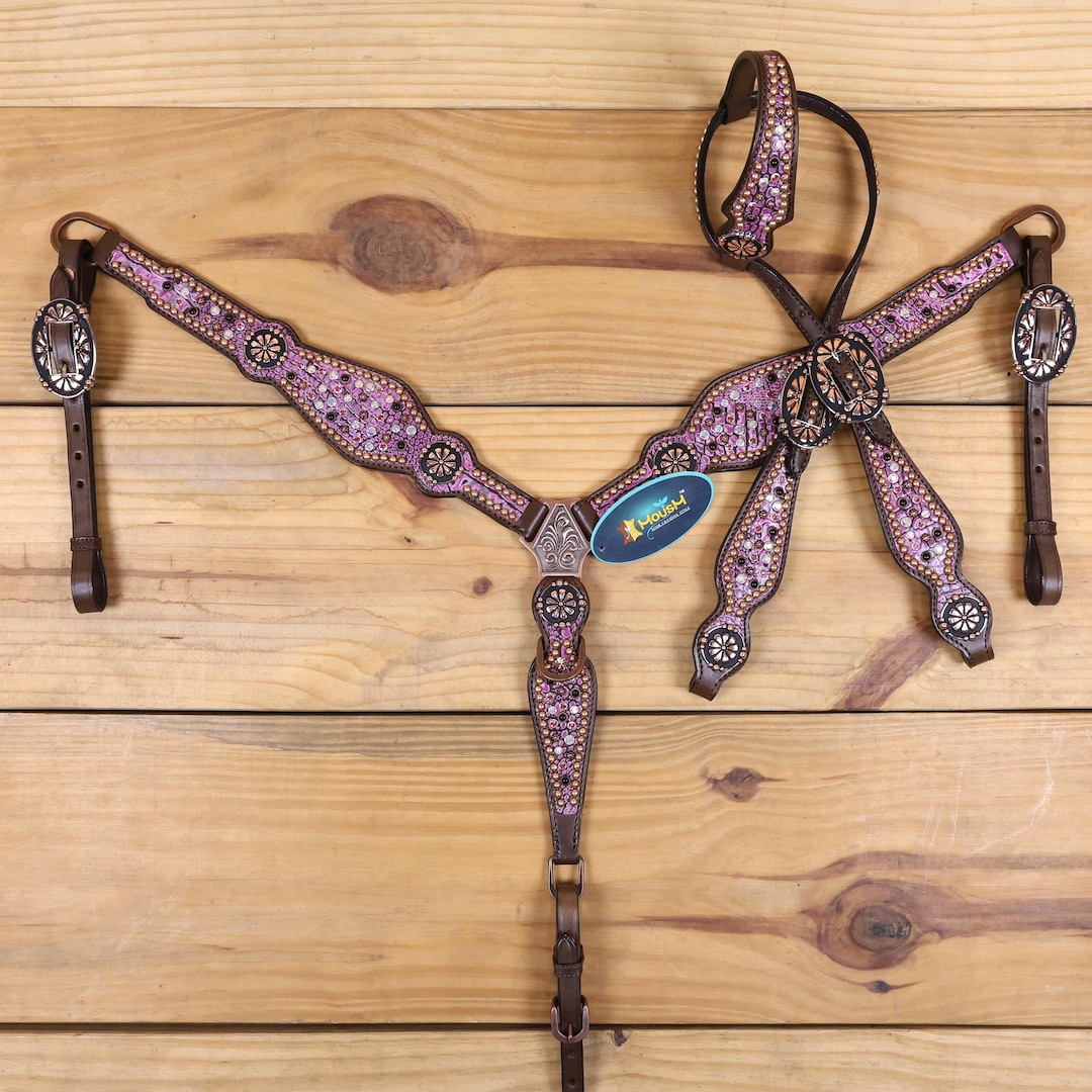 Handmade Western Horse Tack Set: Pink Rhinestone Headstall, Argentina ...