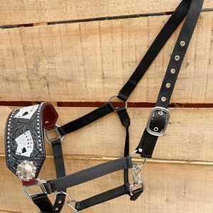 Echt Argentijns rundleer Bronc halster voor paarden, versierd met bloemensnijwerk siliver studs speelkaart schilderij