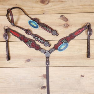 Könnte beinhalten: Ein braunes Leder-Pferdegeschirr-Set mit roten Blumen- und Leopardenmuster-Akzenten. Das Set beinhaltet einen Kopfhalfter, einen Brustgeschirr und Zügel, alle mit silberfarbener Metallbeschlägen und der Marke "Housh".