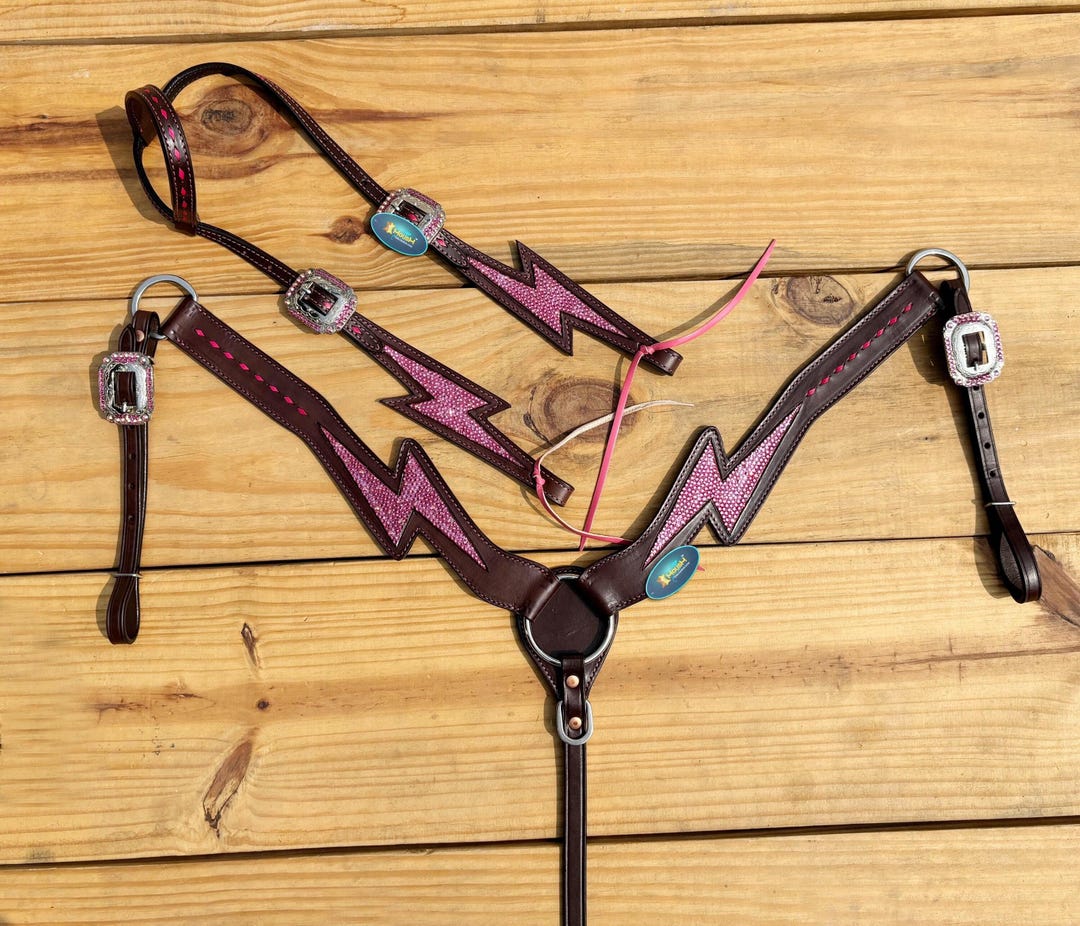 Ensemble d'attaches en cuir Valentine Western pour chevaux, coiffe et