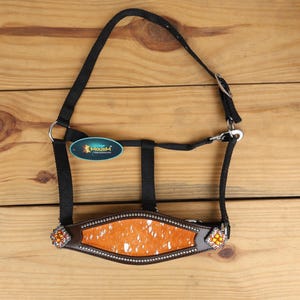 Lederbronzehalfter: Oranges Reithalfter aus Rindsleder, Westernpferde Trense