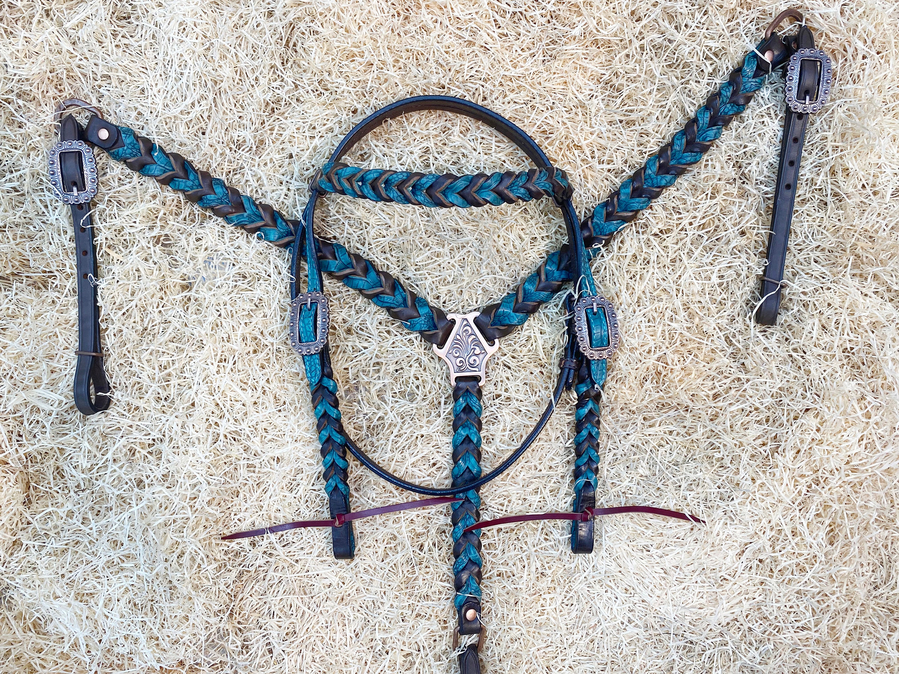 Hackamore En Cuir Et Mors à 5 Pouces – Rênes Tressées – Occasion
