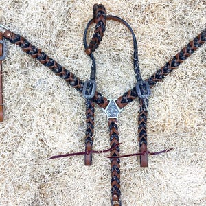 Handmade Leather Headstall and Breast Collar Set: Western Leopard Braiding by Mousm