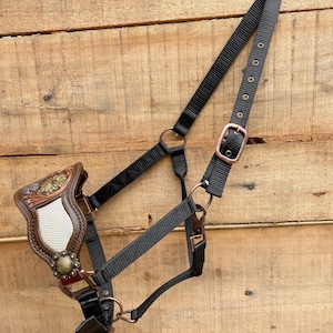 Licol bronc en cuir fait main pour chevaux, décoré d'un imprimé serpent holographique et de fleurs sculptées