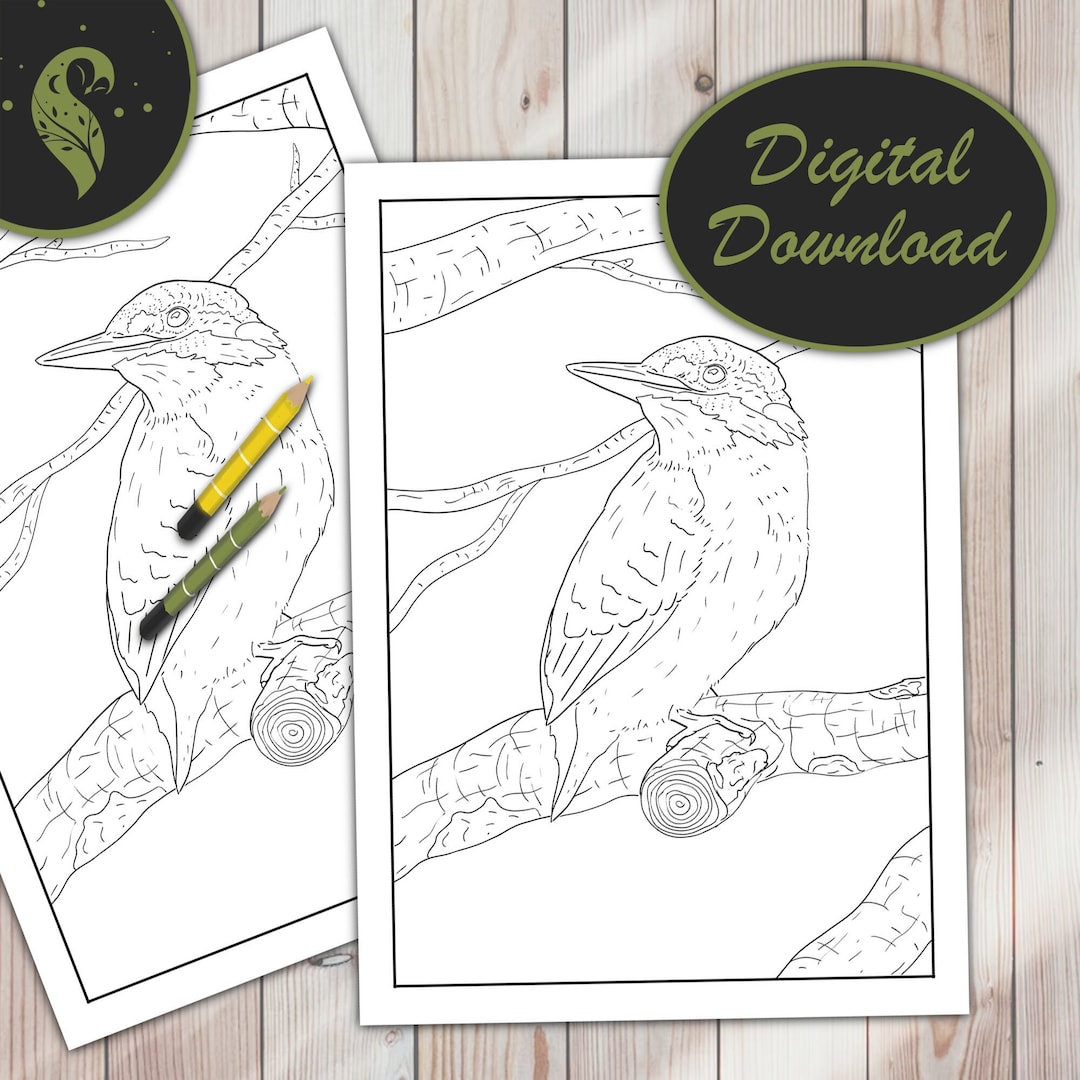Printable Kingfisher Coloring Page for Adults Bird Download - Etsy UK