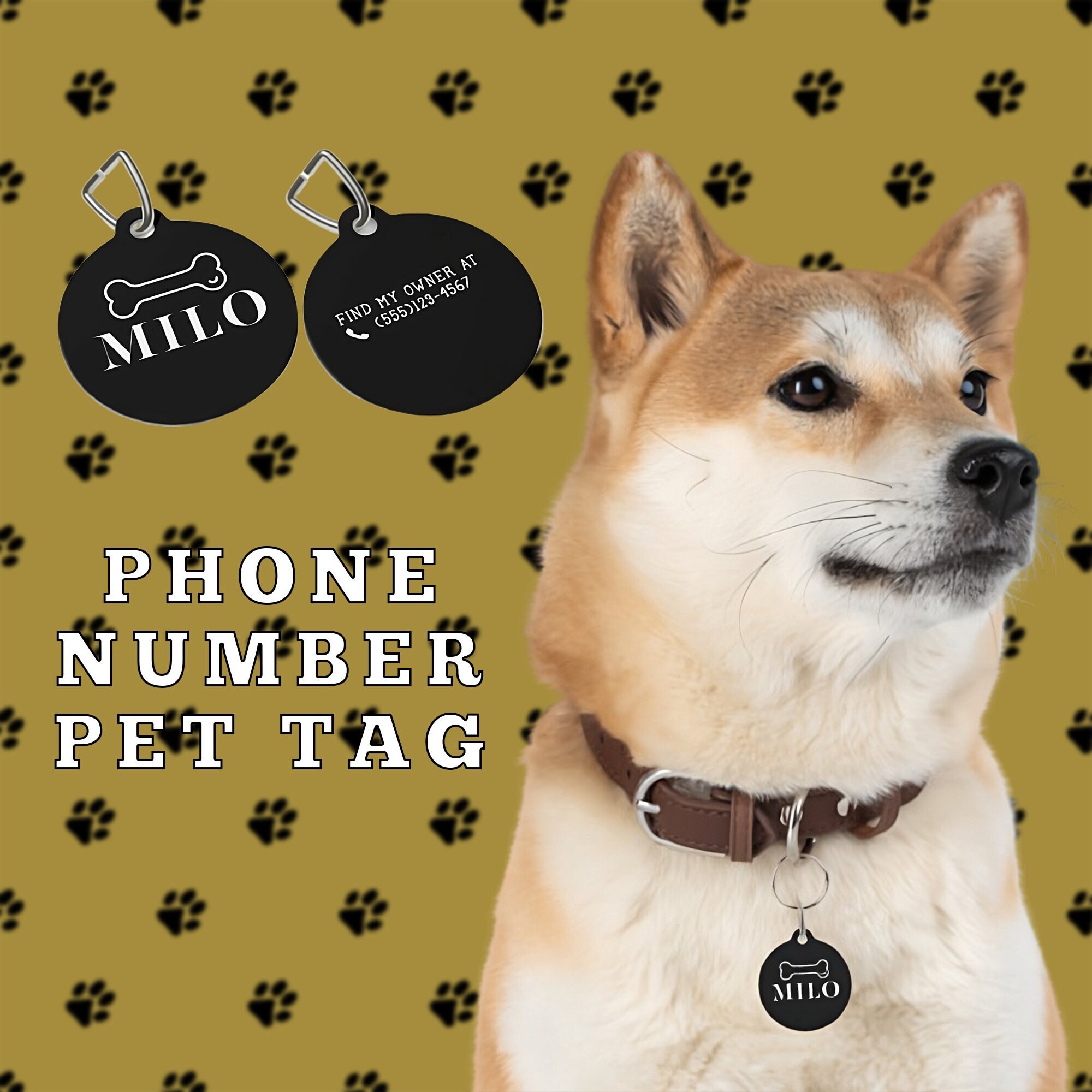Can You Look Up Dog Tag Numbers Can You Look Up Dog Tag Numbers