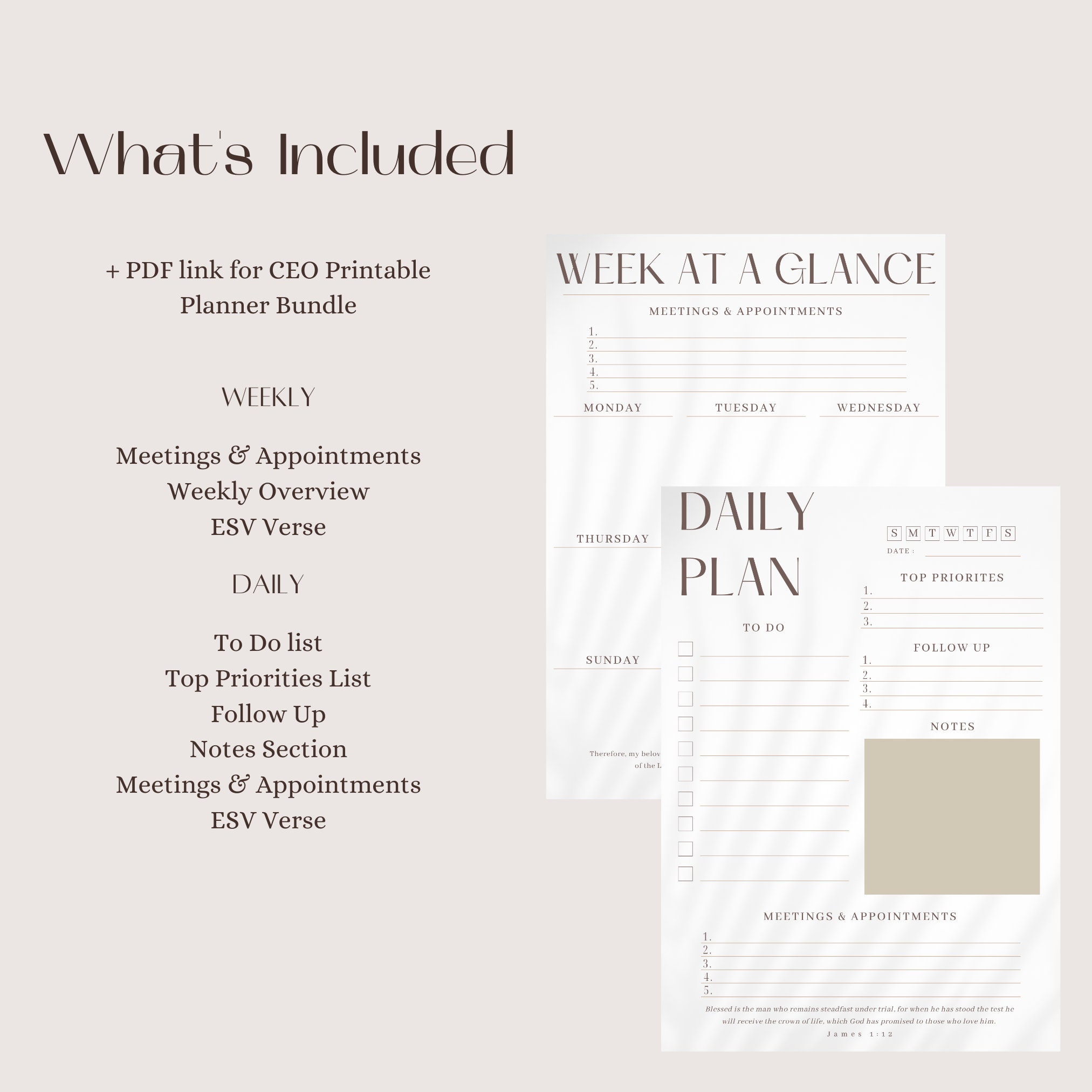 Printable CEO Daily Planner Week at A Glance Daily Planner, Weekly ...